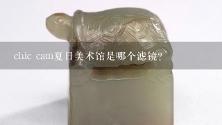 chic cam夏日美术馆是哪个滤镜？