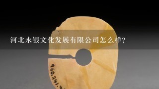 河北永银文化发展有限公司怎么样？