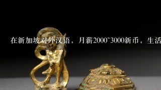 在新加坡对外汉语，月薪2000~3000新币，生活水平怎样？