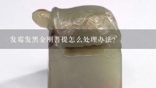 发霉发黑金刚菩提怎么处理办法？