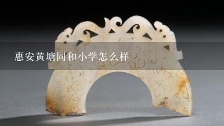 惠安黄塘同和小学怎么样