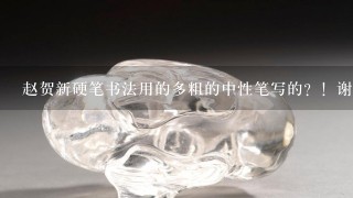 赵贺新硬笔书法用的多粗的中性笔写的？！谢谢