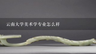 云南大学美术学专业怎么样