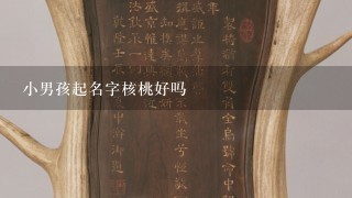 小男孩起名字核桃好吗