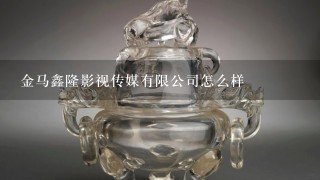 金马鑫隆影视传媒有限公司怎么样