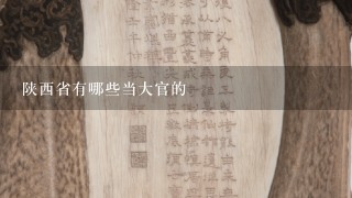 陕西省有哪些当大官的