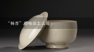 “杨晋”用韩语怎么说