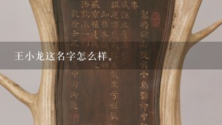 王小龙这名字怎么样。