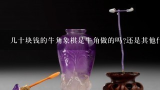 几十块钱的牛角象棋是牛角做的吗?还是其他什么做的啊?