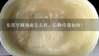 东营亨圆铜业怎么样，后勤待遇如何？