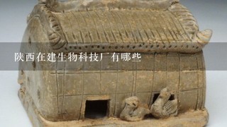 陕西在建生物科技厂有哪些