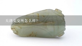 天津文交所怎么样？