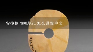 安捷伦7890AGC怎么设置中文