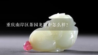 重庆南岸区茶园龙职中怎么样？