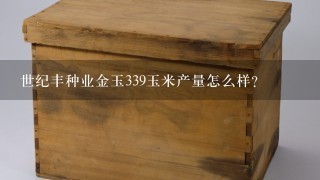 世纪丰种业金玉339玉米产量怎么样？