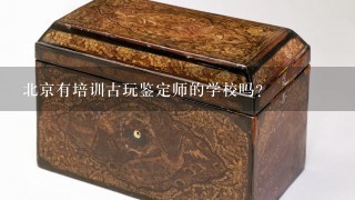 北京有培训古玩鉴定师的学校吗？