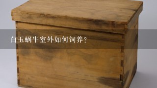 白玉蜗牛室外如何饲养？