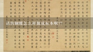 活的蝴蝶怎么样做成标本啊??