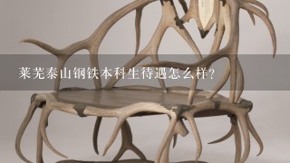 莱芜泰山钢铁本科生待遇怎么样?