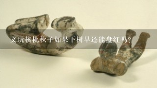 文玩核桃秋子如果下树早还能盘红吗？