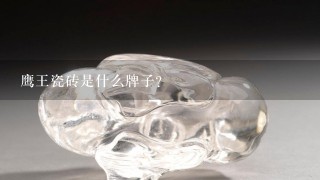 鹰王瓷砖是什么牌子？