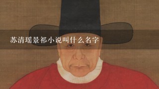 苏清瑶景祁小说叫什么名字