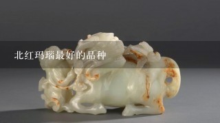 北红玛瑙最好的品种