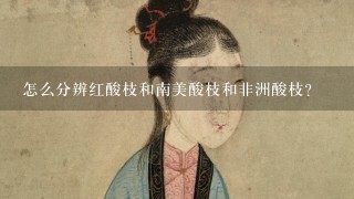 怎么分辨红酸枝和南美酸枝和非洲酸枝？