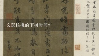 文玩核桃的下树时间？