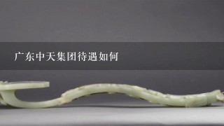 广东中天集团待遇如何