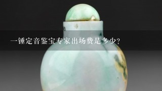 1锤定音鉴宝专家出场费是多少？