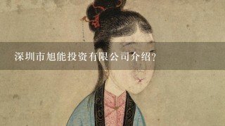 深圳市旭能投资有限公司介绍？