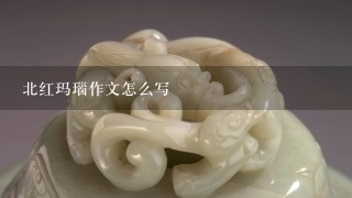 北红玛瑙作文怎么写