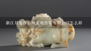 浙江月笼沙影视文化传媒有限公司怎么样