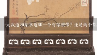 元武道和跆拳道哪1个有绿腰带? 还是两个都有?