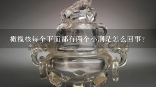 橄榄核每个下面都有两个小洞是怎么回事？