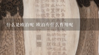 什么是欧泊呢 欧泊有什么作用呢