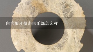 白沟狼牙搏击俱乐部怎么样