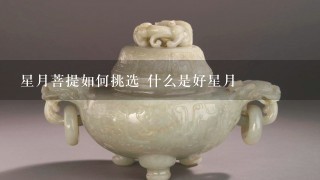 星月菩提如何挑选 什么是好星月