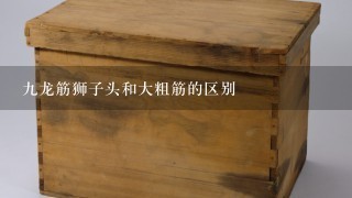 9龙筋狮子头和大粗筋的区别