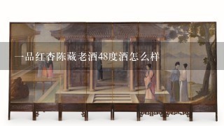 1品红杏陈藏老酒48度酒怎么样