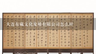 大连东藏文化发展有限公司怎么样