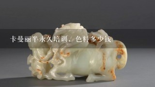 卡曼丽半永久培训，色料多少钱