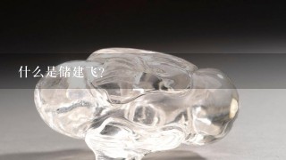 什么是储建飞？