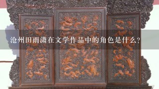 沧州田雨潇在文学作品中的角色是什么?