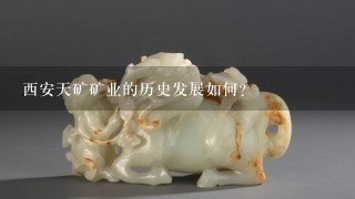 西安天矿矿业的历史发展如何?